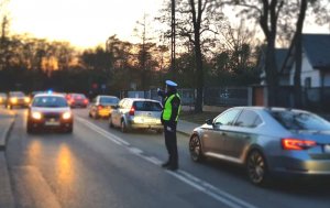 fot. policjant na drodze kieruje ruchem