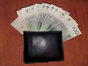 Fot. portfel i pieniądze